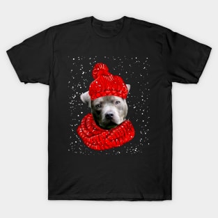 Pitbull Wearing Red Hat And Scarf In Snow Christmas T-Shirt